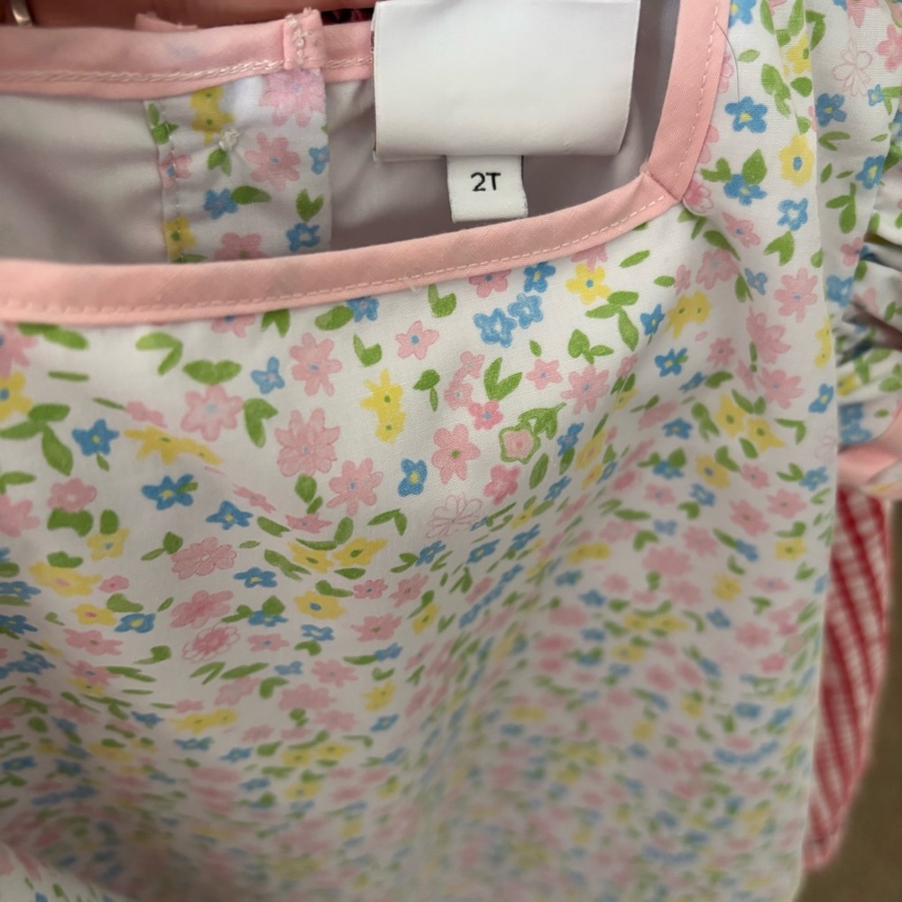 Floral Ruffle Dress with Pink Trim Size 2T - Picture 4 of 4